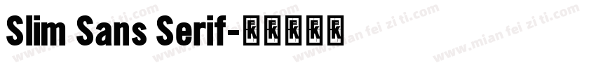 Slim Sans Serif字体转换